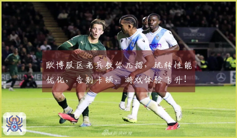 欧博服区老兵教你几招，玩转性能优化，告别卡顿，游戏体验飞升！